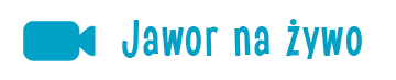 Jawor na żywo