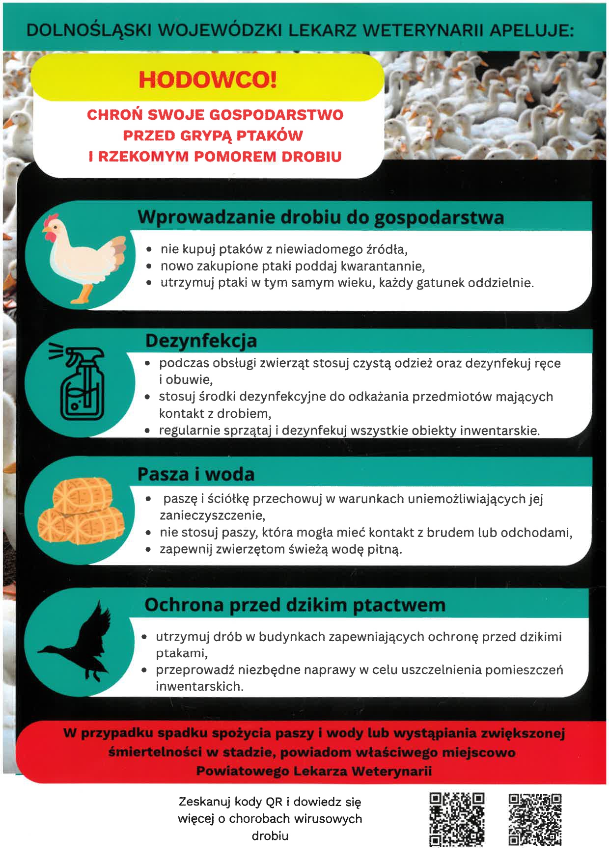 Chroń swoje stado – bioasekuracja to najlepsza ochrona przed grypą ptaków
